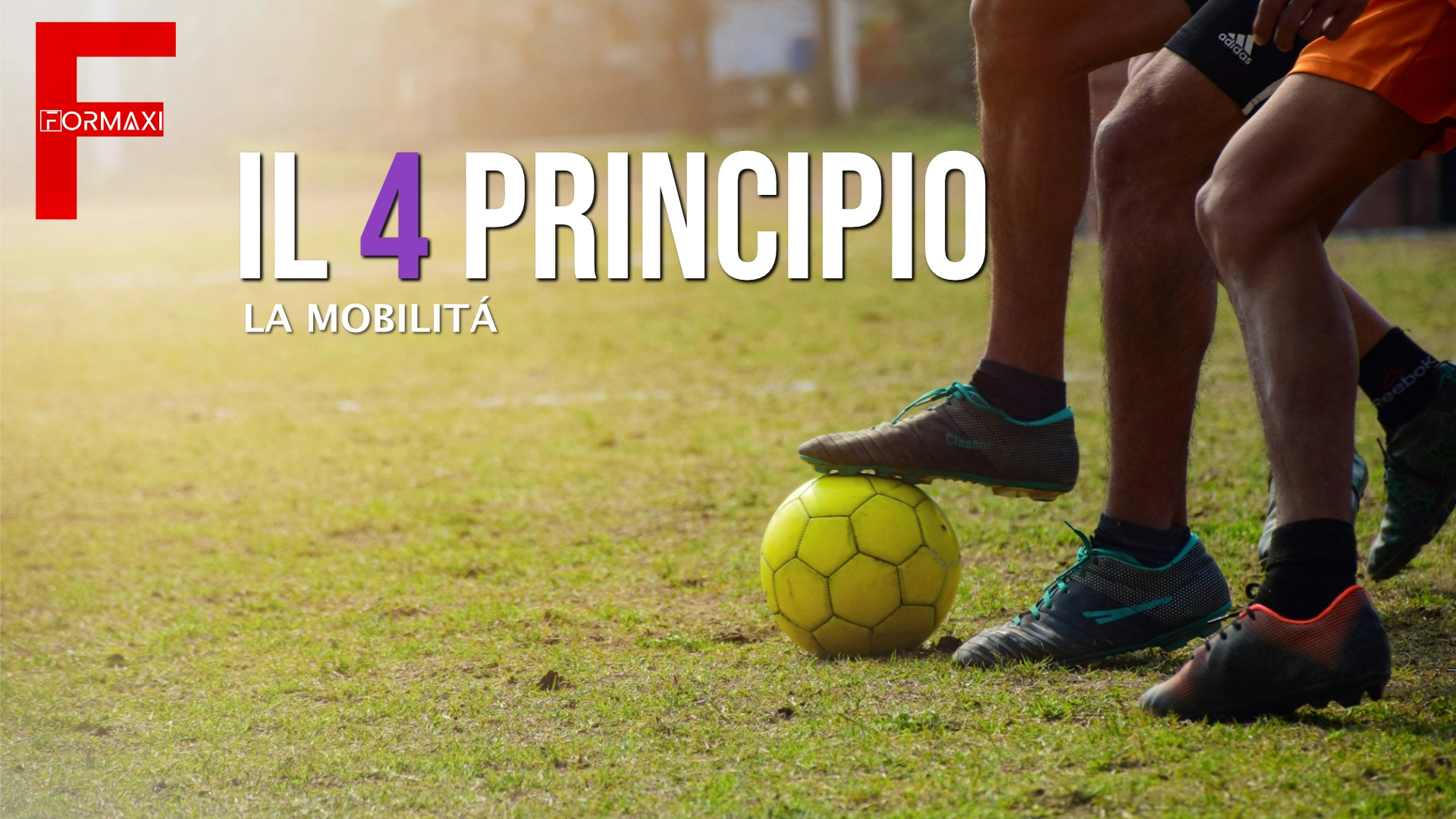 4_Principio 4 Principio
