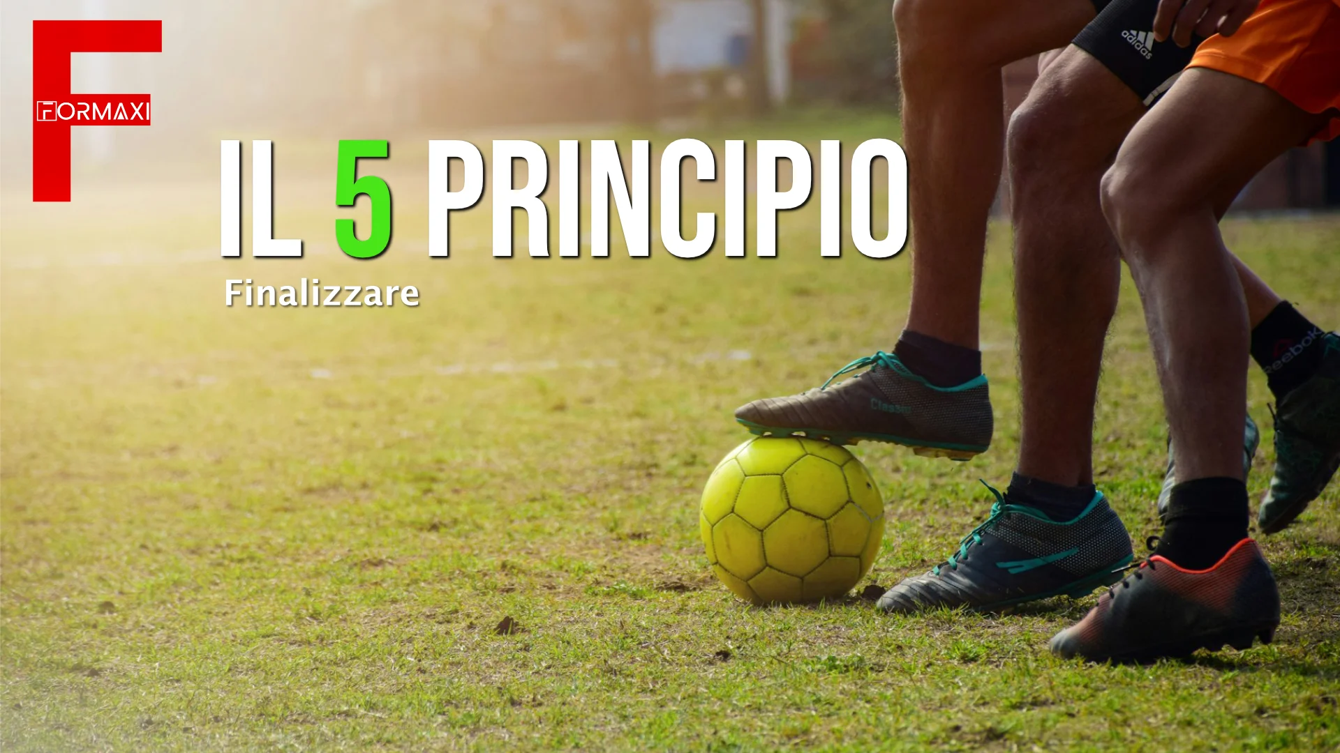 5_Principio 5 Principio